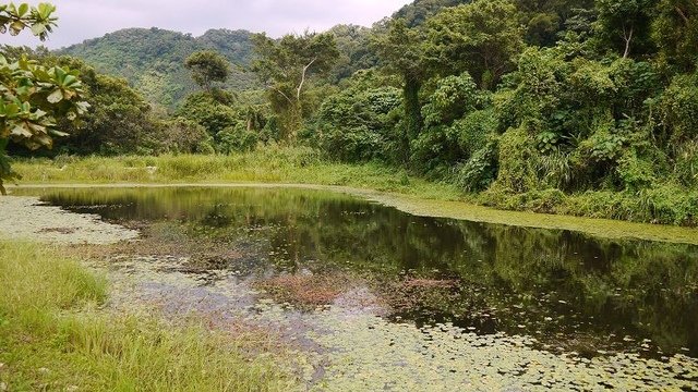 2019-09-07 15-24-09(001).jpg - 20190907_桃園_山豬湖生態親水園區