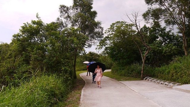 2019-09-07 15-30-56(001).jpg - 20190907_桃園_山豬湖生態親水園區