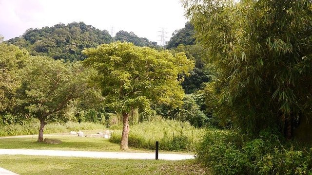 2019-09-07 15-33-49(001).jpg - 20190907_桃園_山豬湖生態親水園區