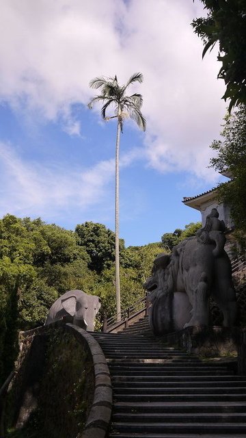 2019-08-31 15-00-21(001).jpg - 20190831_中和_圓通寺