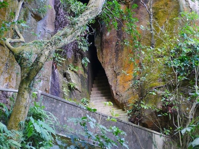 2019-08-31 15-19-09(001).jpg - 20190831_中和_圓通寺