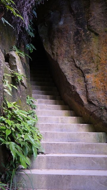 2019-08-31 15-20-06(001).jpg - 20190831_中和_圓通寺