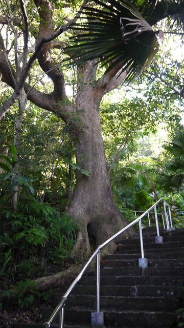 2019-08-31 15-59-51(001).jpg - 20190831_中和_圓通寺