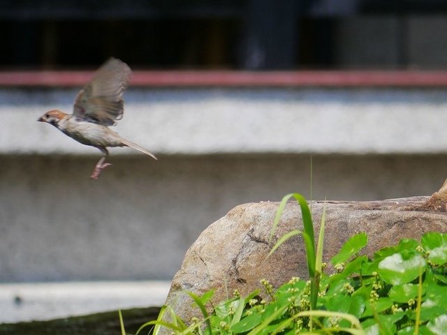 2019-08-23 10-11-28 (2)(001).jpg - 20190823_台中_台中港區藝術館