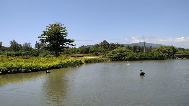 2019-07-14 10-44-32(001).jpg - 20190714_花蓮_吉安_台開心農場