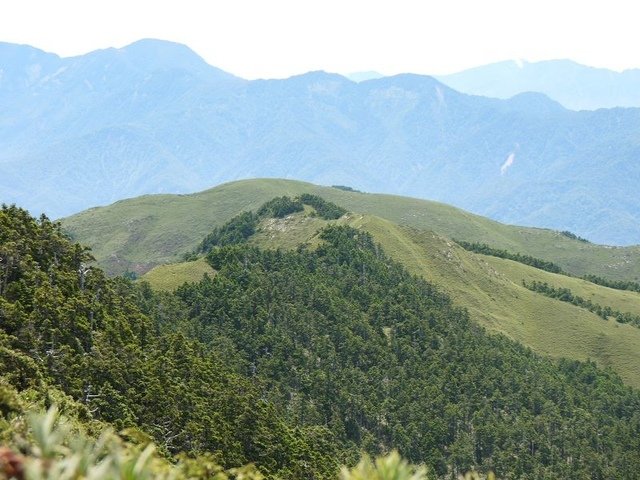 20160627_132601_(001).jpg - 20160627_花蓮_合歡山主峰步道_登頂