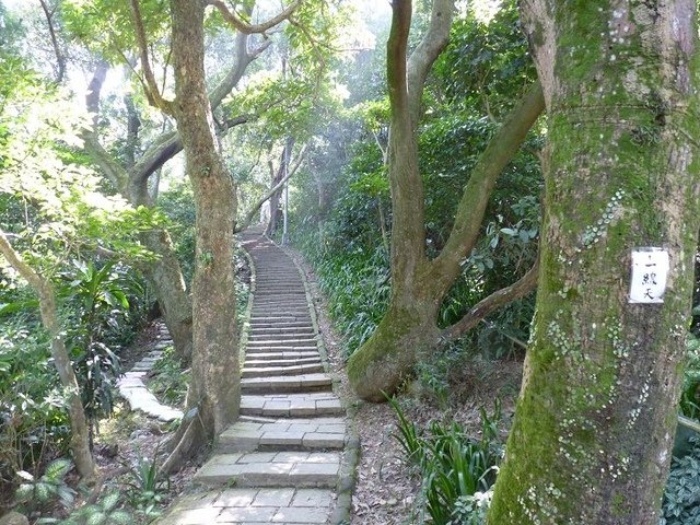 2019-02-07 11-37-22(001).jpg - 20190207_台北市_象山步道