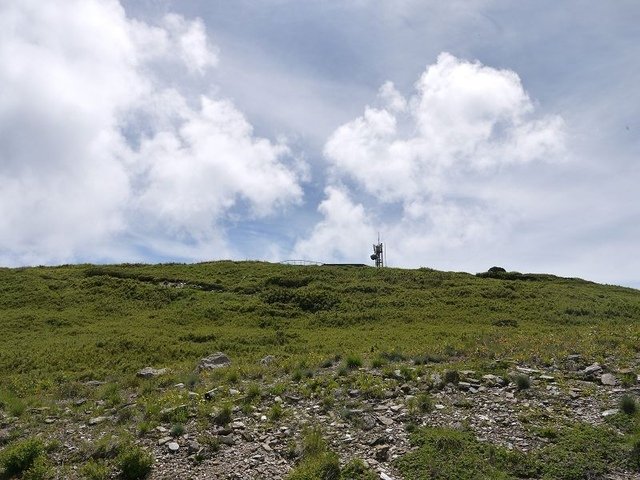 20160627_134602_(001).jpg - 20160627_花蓮_合歡山主峰步道_回程