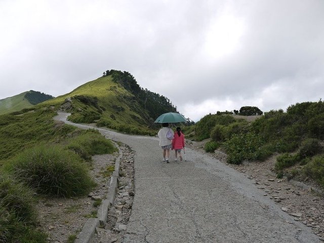 20160627_141941_(001).jpg - 20160627_花蓮_合歡山主峰步道_回程