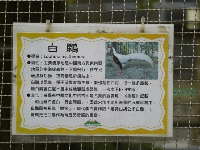 2018-01-27 15-00-22(001).jpg - 20180127_柳營_南元休閒農場7_生態保育鳥園