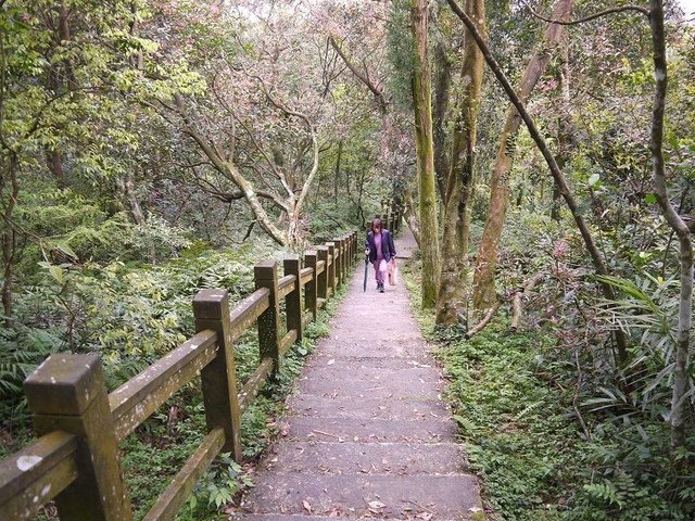 2018-03-24 10-45-42(001).jpg - 20180324_貢寮_桃源谷
