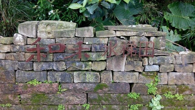 2018-03-24 10-20-03(001).jpg - 20180324_貢寮_桃源谷