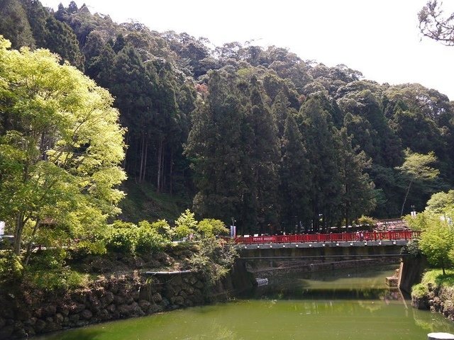 2018-04-14 10-11-33(001).jpg - 20180414_杉林溪_青龍蕨類步道