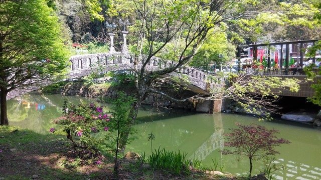 2018-04-14 10-13-53(001).jpg - 20180414_杉林溪_青龍蕨類步道