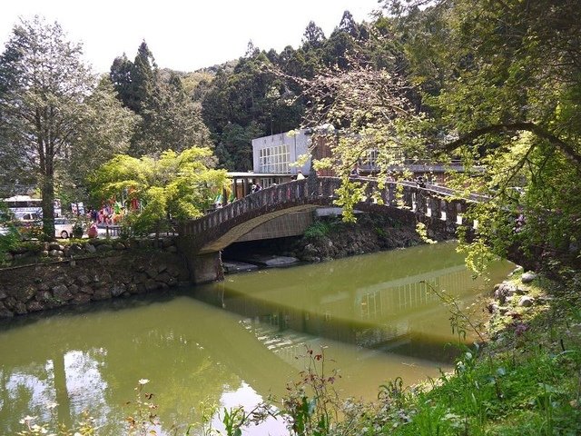 2018-04-14 10-16-31(001).jpg - 20180414_杉林溪_青龍蕨類步道