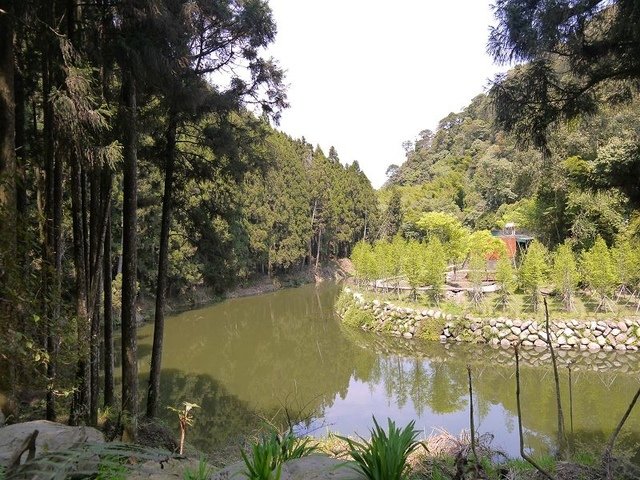 2018-04-14 10-24-08(001).jpg - 20180414_杉林溪_青龍蕨類步道