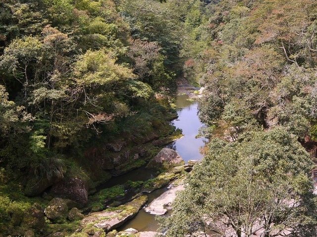 2018-04-14 10-33-23(001).jpg - 20180414_杉林溪_青龍蕨類步道