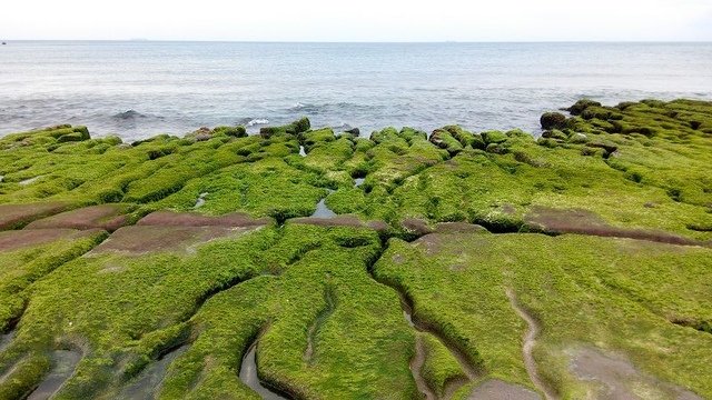 2018-06-23 15-43-45(001).jpg - 20180623_石門_老梅綠石槽
