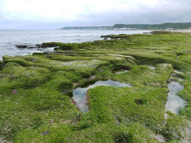 2018-06-23 15-37-52(001).jpg - 20180623_石門_老梅綠石槽