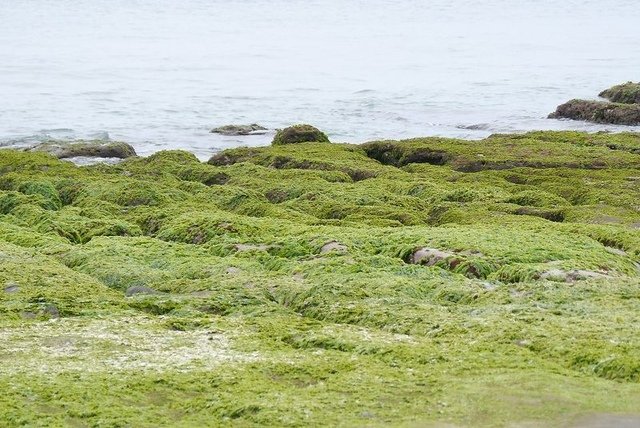 2018-06-23 15-40-37(001).jpg - 20180623_石門_老梅綠石槽