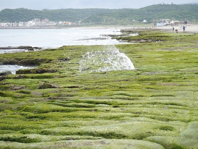 2018-06-23 15-42-50(001).jpg - 20180623_石門_老梅綠石槽