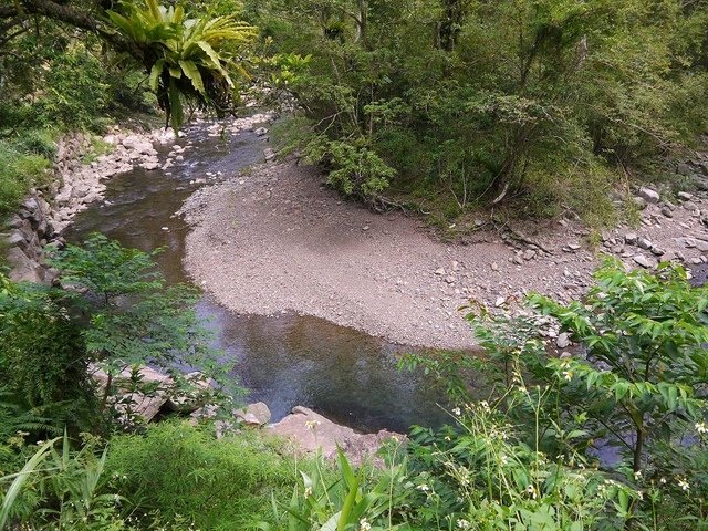 2017-09-17 12-29-35(001).jpg - 20170917_坪林_金瓜寮溪魚蕨步道