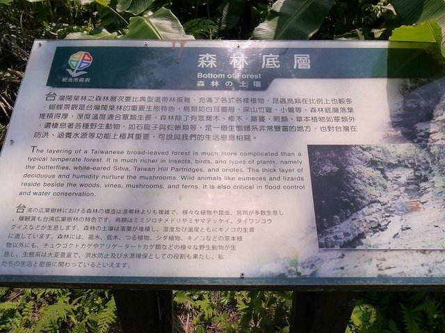 2017-09-17 12-50-47(001).jpg - 20170917_坪林_金瓜寮溪魚蕨步道