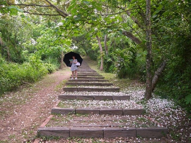 2017-05-06 13-23-18(001).jpg - 20170506_香山_青青草原