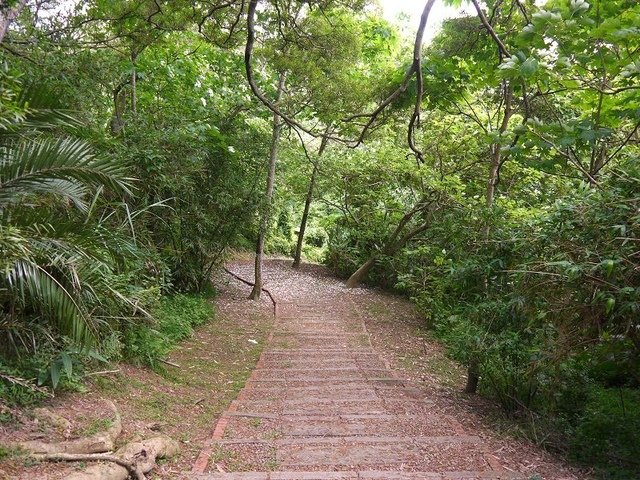 2017-05-06 13-30-17(001).jpg - 20170506_香山_青青草原