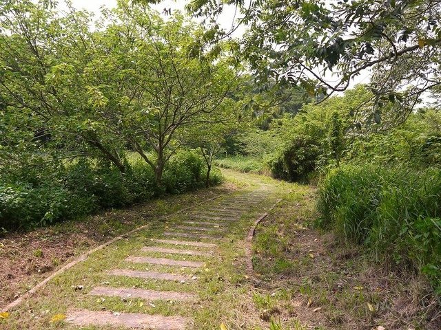 2017-05-06 13-38-42(001).jpg - 20170506_香山_青青草原