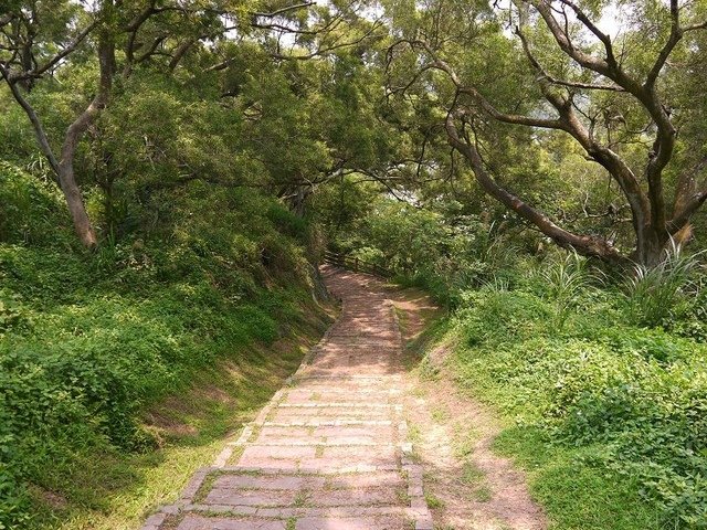 2017-05-06 12-06-17(001).jpg - 20170506_香山_青青草原