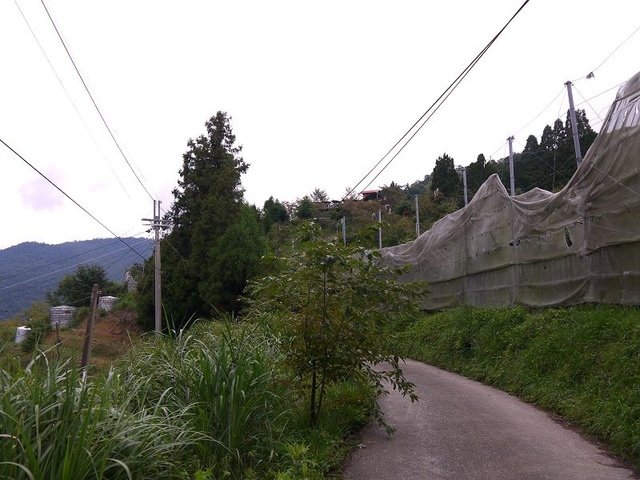 2018-08-18 08-51-38(001).jpg - 20180818_巴陵_俠雲山莊_早餐