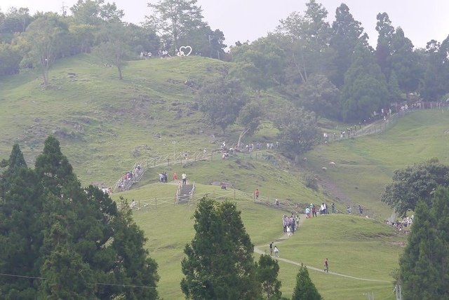 2017-06-24 15-25-37(001).jpg - 20170624_清境農場_觀山牧區