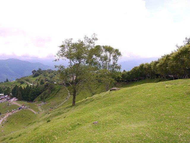 2017-06-24 13-51-32(001).jpg - 20170624_清境農場_青青草原_長城步道