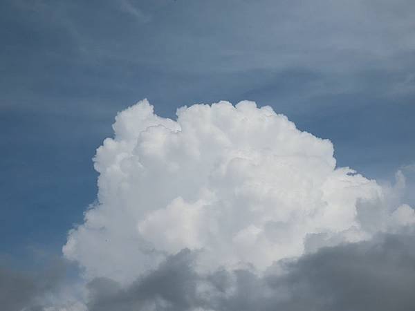 2023-08-18 13-44-07(001).jpg