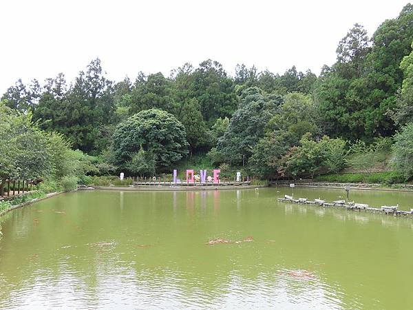2023-08-18 13-49-01(001).jpg