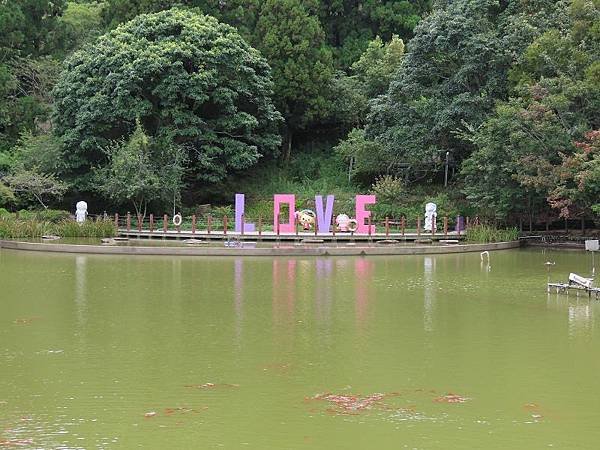 2023-08-18 13-49-08(001).jpg