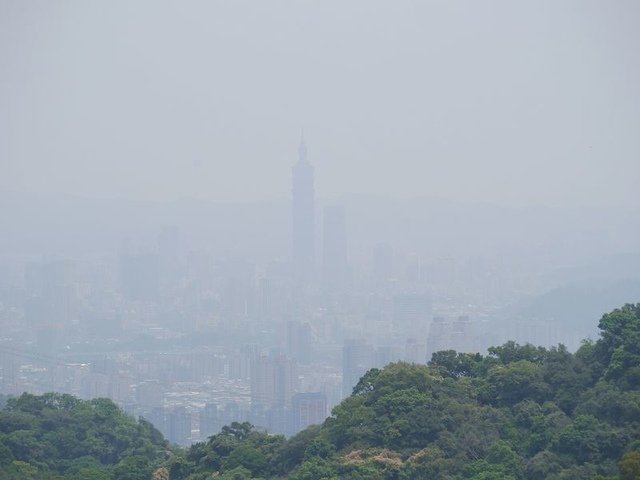 2018-05-05 11-30-43(001).jpg - 20180505_土城_文筆山賞桐花