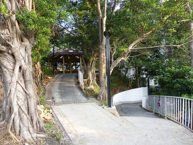 2018-07-01 05-56-07(001).jpg - 20180701_中和_員山公園_麥當勞吃早餐