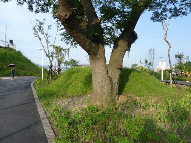 2018-07-01 06-27-54(001).jpg - 20180701_中和_員山公園_麥當勞吃早餐