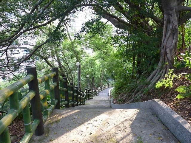 2018-07-01 06-31-48(001).jpg - 20180701_中和_員山公園_麥當勞吃早餐