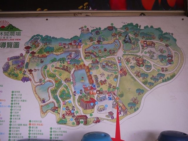 2018-01-27 10-14-56(001).jpg - 20180127_柳營_南元休閒農場1_鬱金香