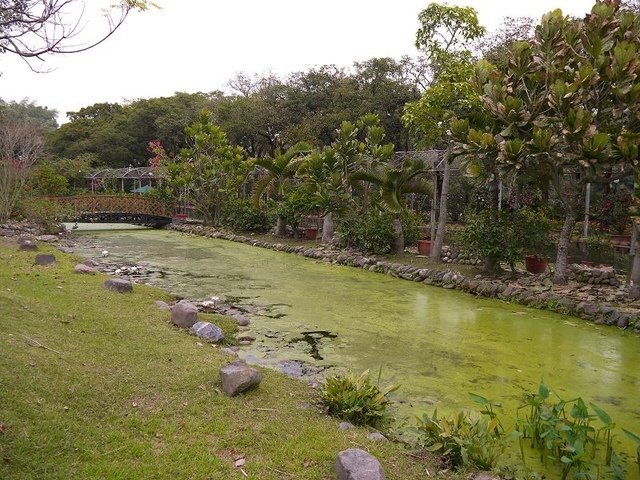 2018-01-27 10-28-00(001).jpg - 20180127_柳營_南元休閒農場1_鬱金香