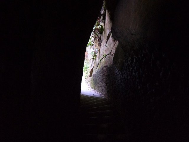 P1690422(001).jpg - 20170916_中和_圓通寺後山步道