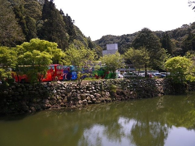 2018-04-14 10-18-55(001).jpg - 20180414_杉林溪_青龍蕨類步道