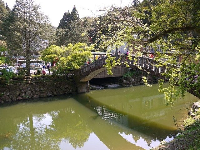2018-04-14 10-16-23(001).jpg - 20180414_杉林溪_青龍蕨類步道