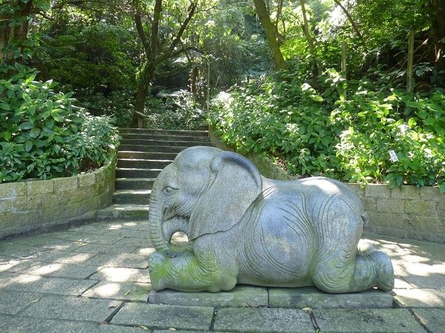 2019-02-07 11-29-52(001).jpg - 20190207_台北市_象山步道