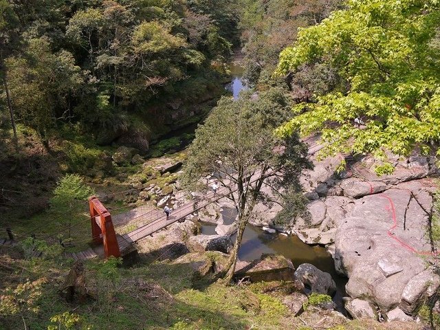 2018-04-14 10-32-34(001).jpg - 20180414_杉林溪_青龍蕨類步道