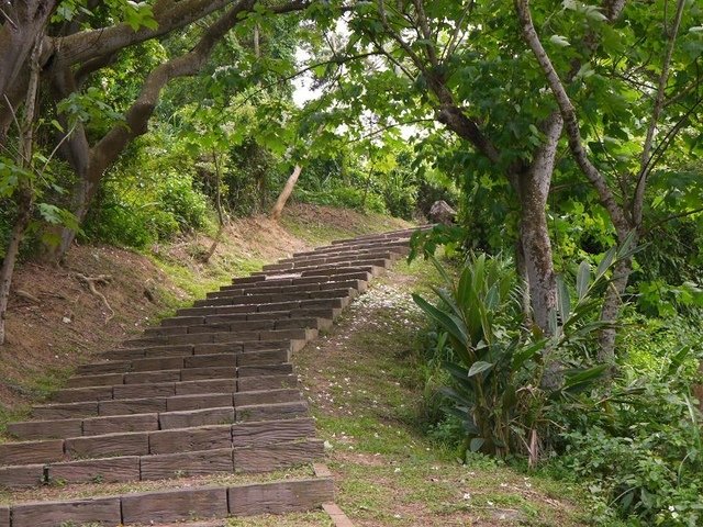 2017-05-06 13-16-55(001).jpg - 20170506_香山_青青草原