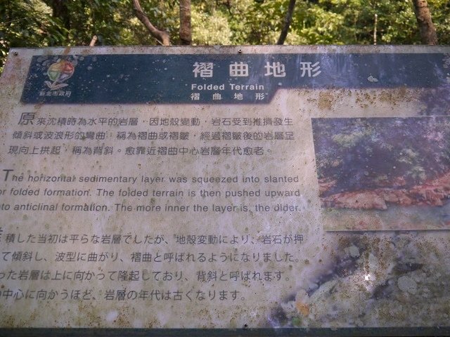 2017-09-17 12-49-44(001).jpg - 20170917_坪林_金瓜寮溪魚蕨步道